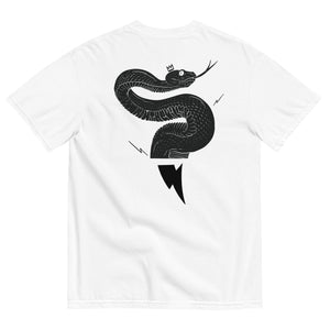 COOL-EBRA